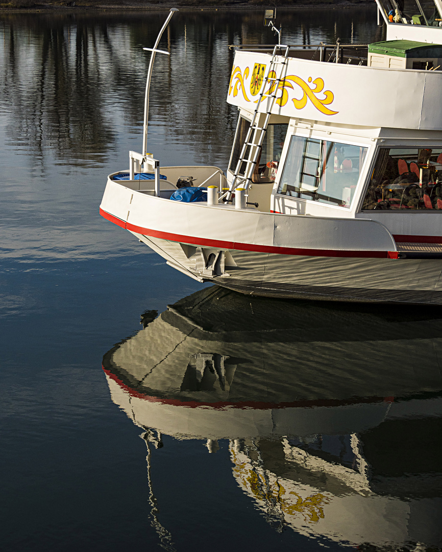 Spiegeltag - Rheinschiff 1