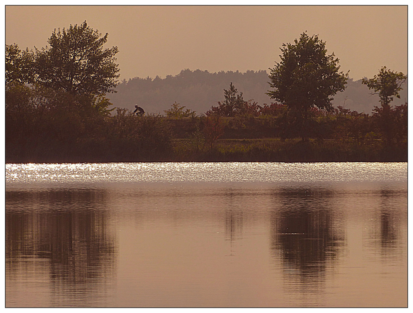 Spiegeltag- Rothsee spätnachmittags