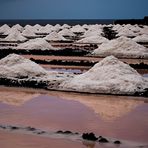 Spiegeltag - Saline