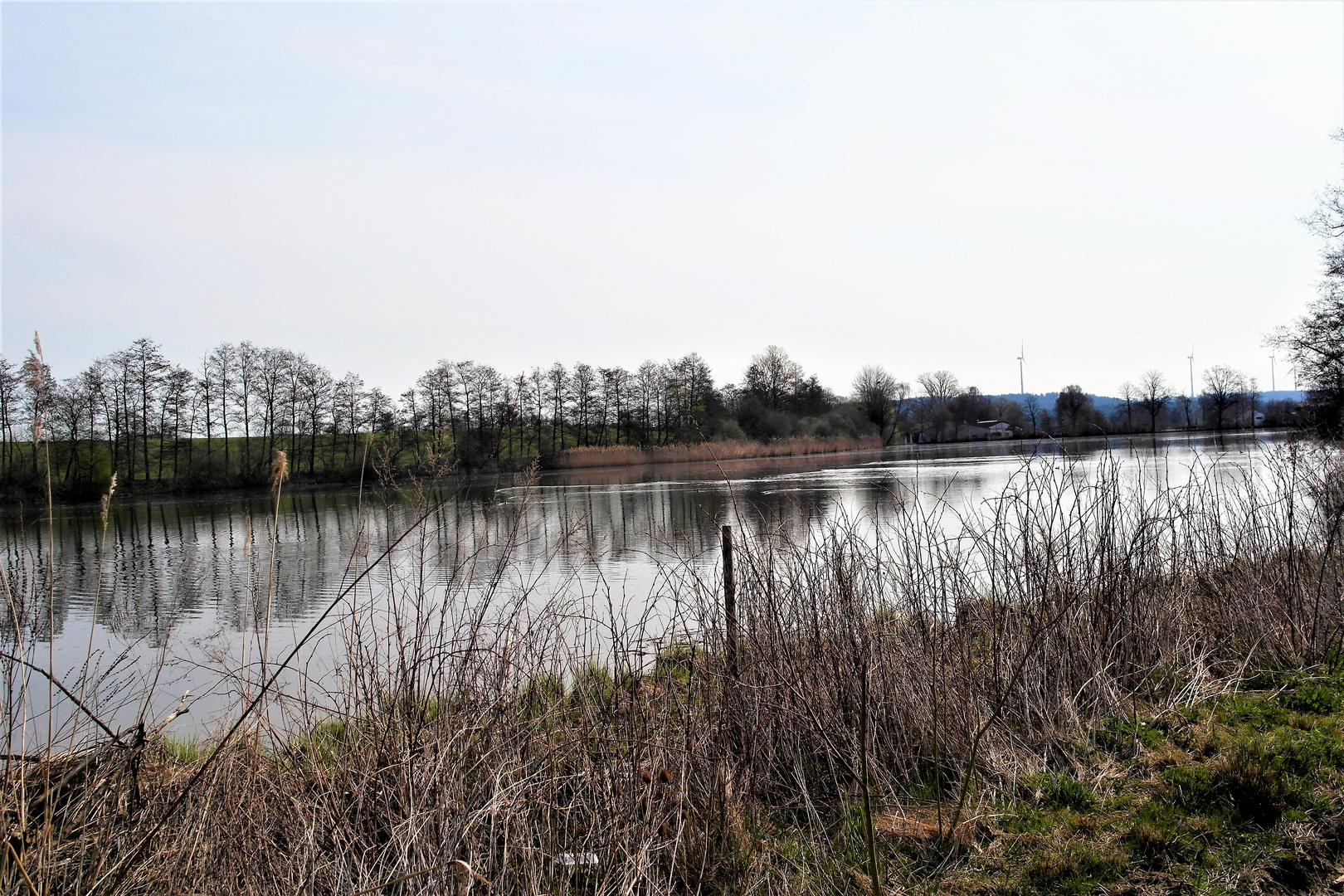 Spiegeltag : Schatten im Silbersee