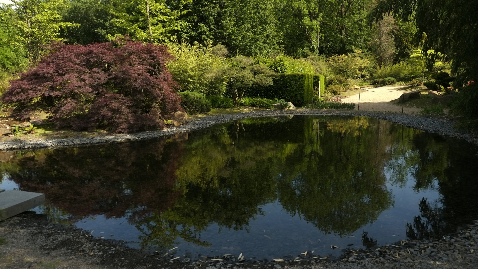 *Spiegeltag*  -  Schaugarten -9-