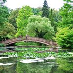 Spiegeltag: Schloß Wolfsgarten