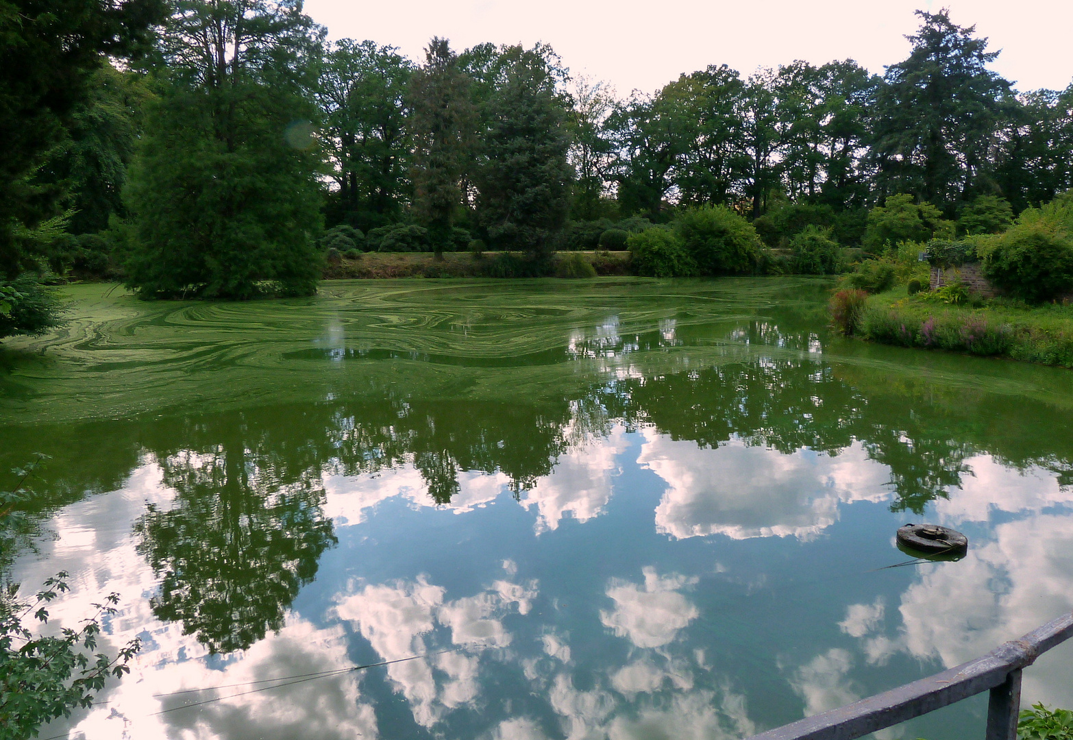 *Spiegeltag*  -  Schlossteich