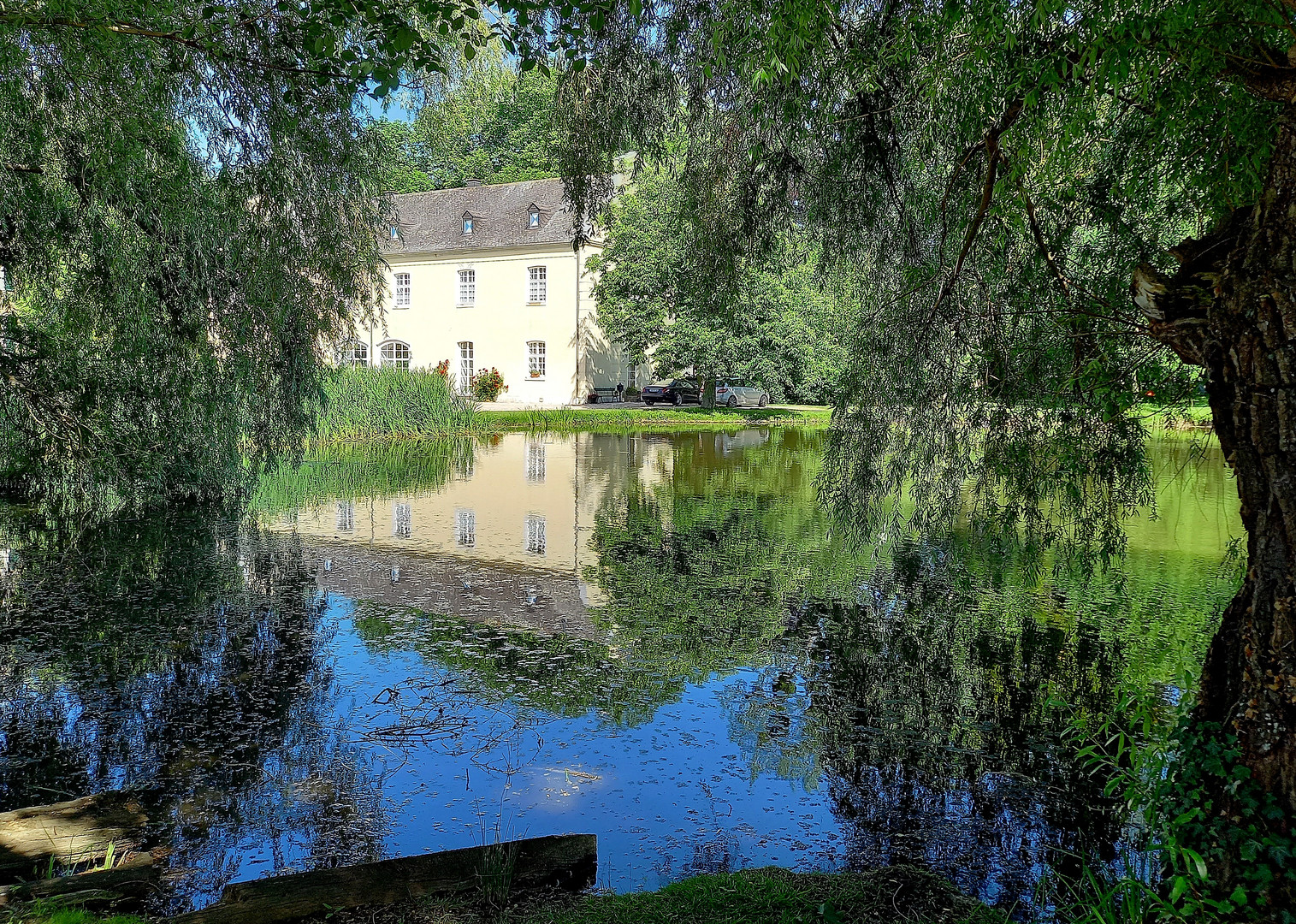 *Spiegeltag*  -  Schlossteichspiegel