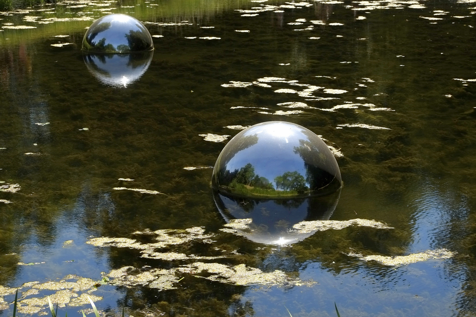 *Spiegeltag*  -  Schlossteichspiegel