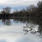 Spiegeltag - Schusterwörth - 