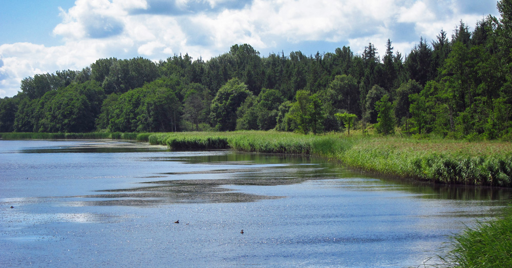 Spiegeltag: See bei Haithabu