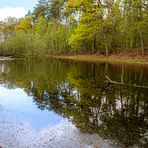 Spiegeltag - Seerosenteich