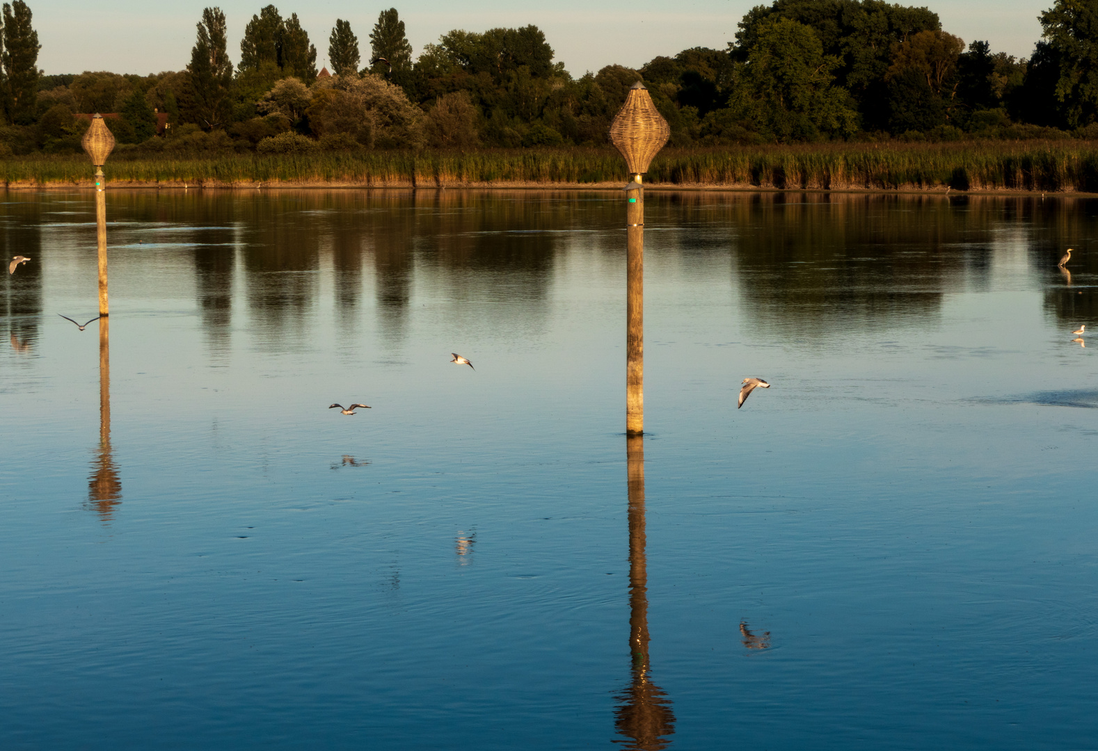 Spiegeltag - Seezeichen mit Möwen und Reiher