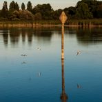 Spiegeltag - Seezeichen mit Möwen und Reiher