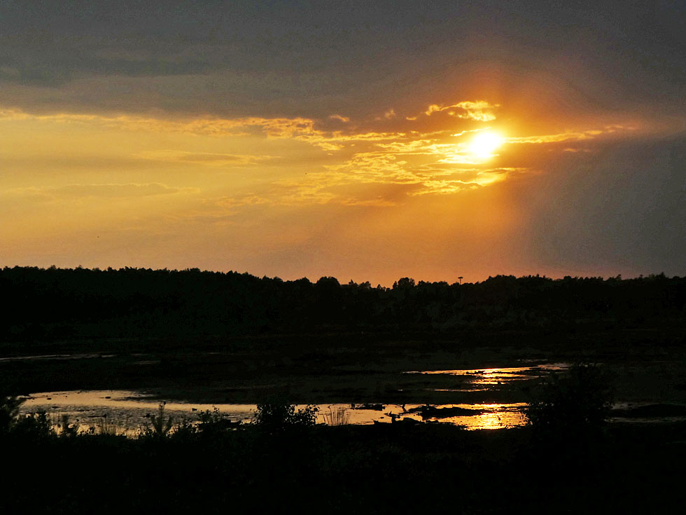 Spiegeltag: Sommer im Moor