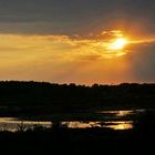 Spiegeltag: Sommer im Moor