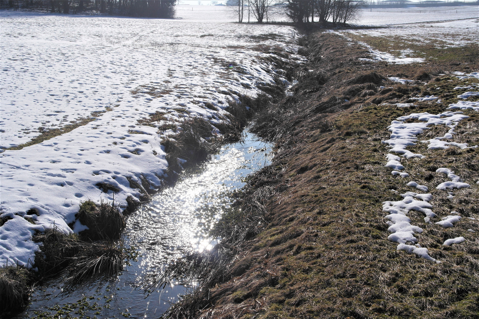 Spiegeltag Sonnenspiegelung im Schmelzwasser