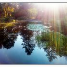 Spiegeltag- Sonnenstrahlen in der Herbstlandschaft Bäume