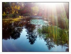 Spiegeltag- Sonnenstrahlen in der Herbstlandschaft Bäume