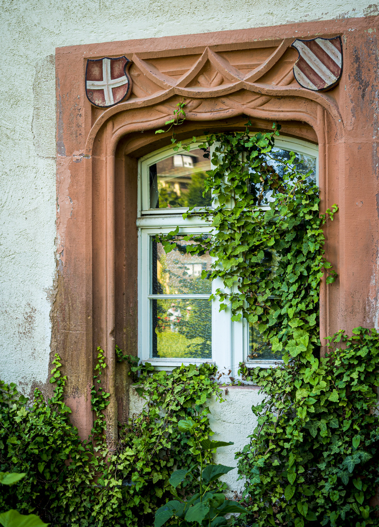 Spiegeltag - Spiegel am Schloss