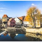 Spiegeltag- Spiegelung in der Pegnitz