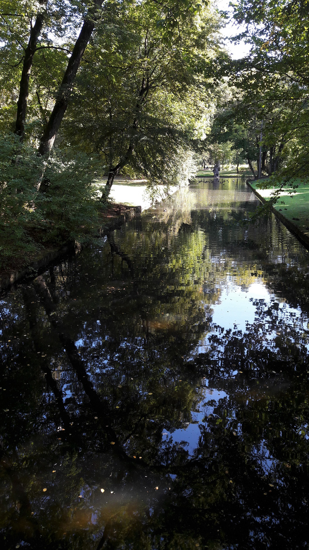 Spiegeltag: Spiegelungen am laufendem Band Bayreuth Hofgarten