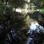 Spiegeltag: Spiegelungen am laufendem Band Bayreuth Hofgarten