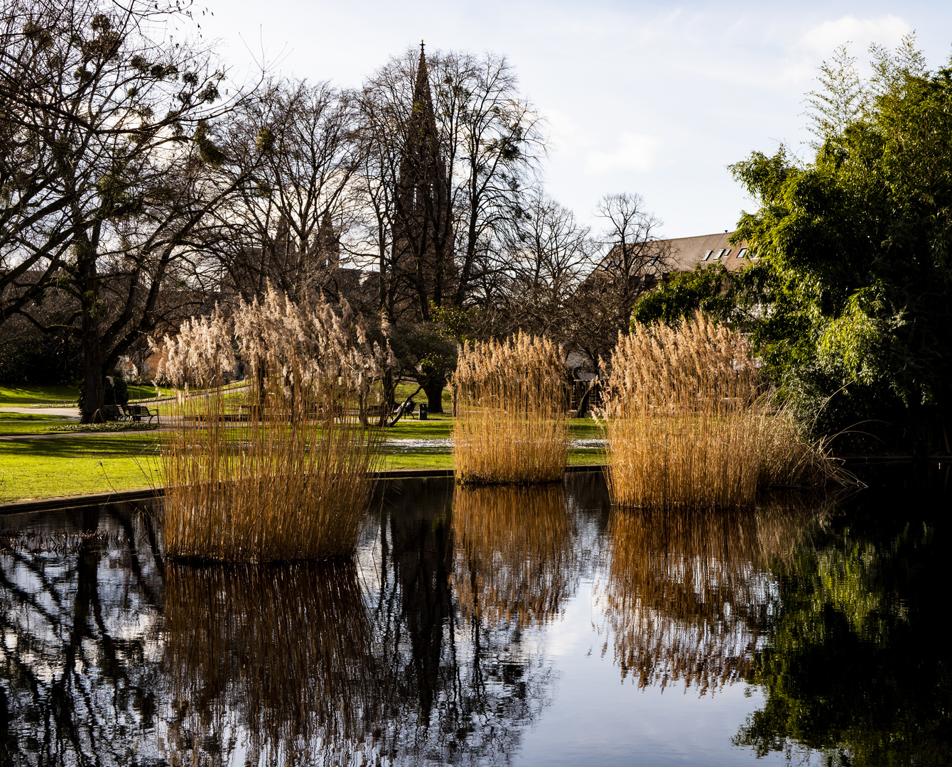 Spiegeltag - Stadtgarten