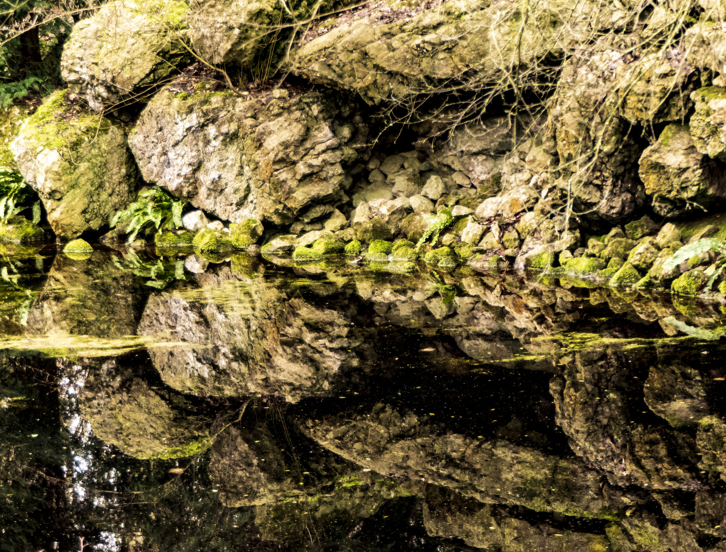 Spiegeltag - Steine im Teich