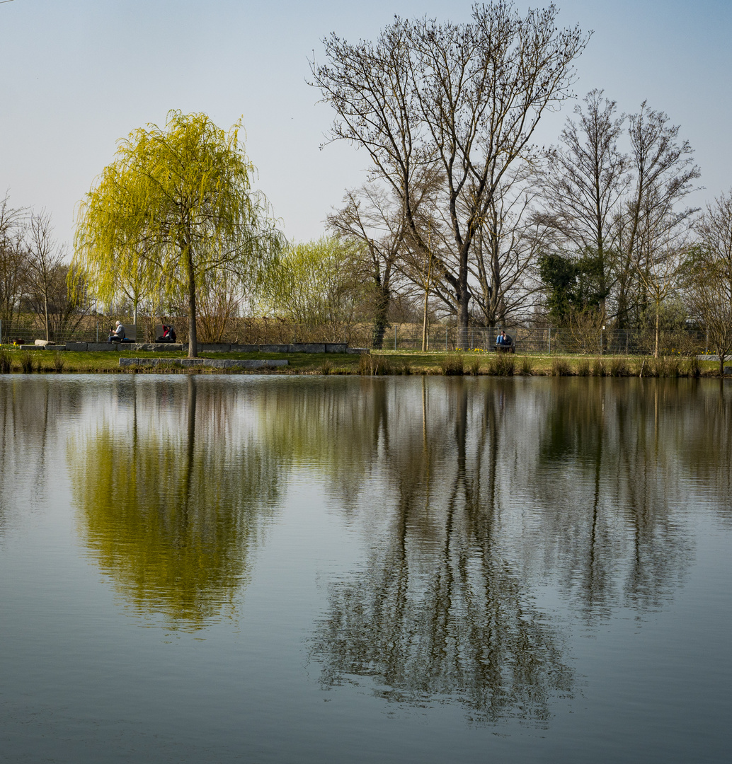 Spiegeltag - Teich Bad Krozingen