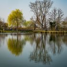 Spiegeltag - Teich Bad Krozingen