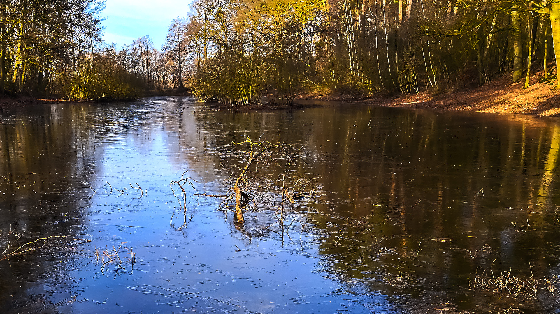 Spiegeltag - Teich gefrostet