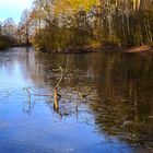 Spiegeltag - Teich gefrostet