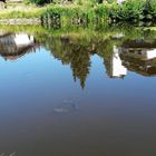Spiegeltag : Teich in Zell mit Fischen und Spiegelung