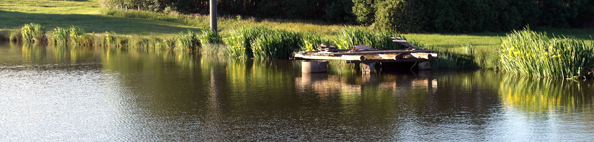 Spiegeltag :Ufer-Spiegelungen im Abendlicht