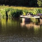 Spiegeltag :Ufer-Spiegelungen im Abendlicht