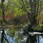 Spiegeltag: unser Abwasser