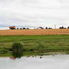 Spiegeltag  Unterwassermähdrescher