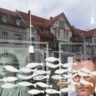 Spiegeltag: Versunkene Stadt mit Fischschwarm
