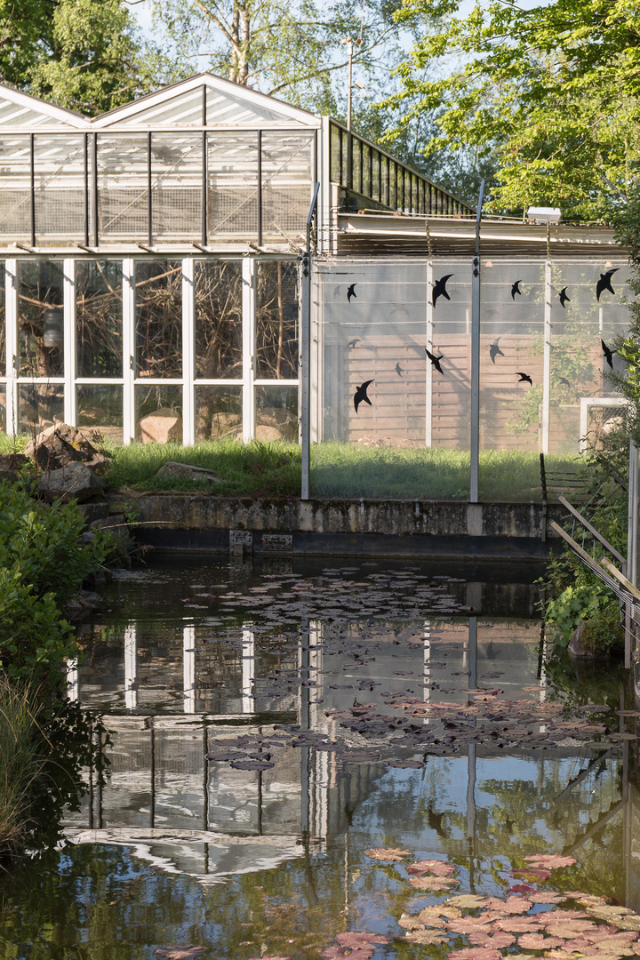 Spiegeltag Vivarium