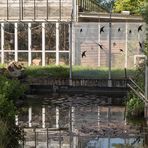 Spiegeltag Vivarium