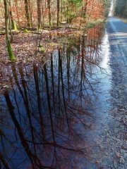 Spiegeltag: wärend unsere erste Radtour