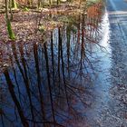 Spiegeltag: wärend unsere erste Radtour