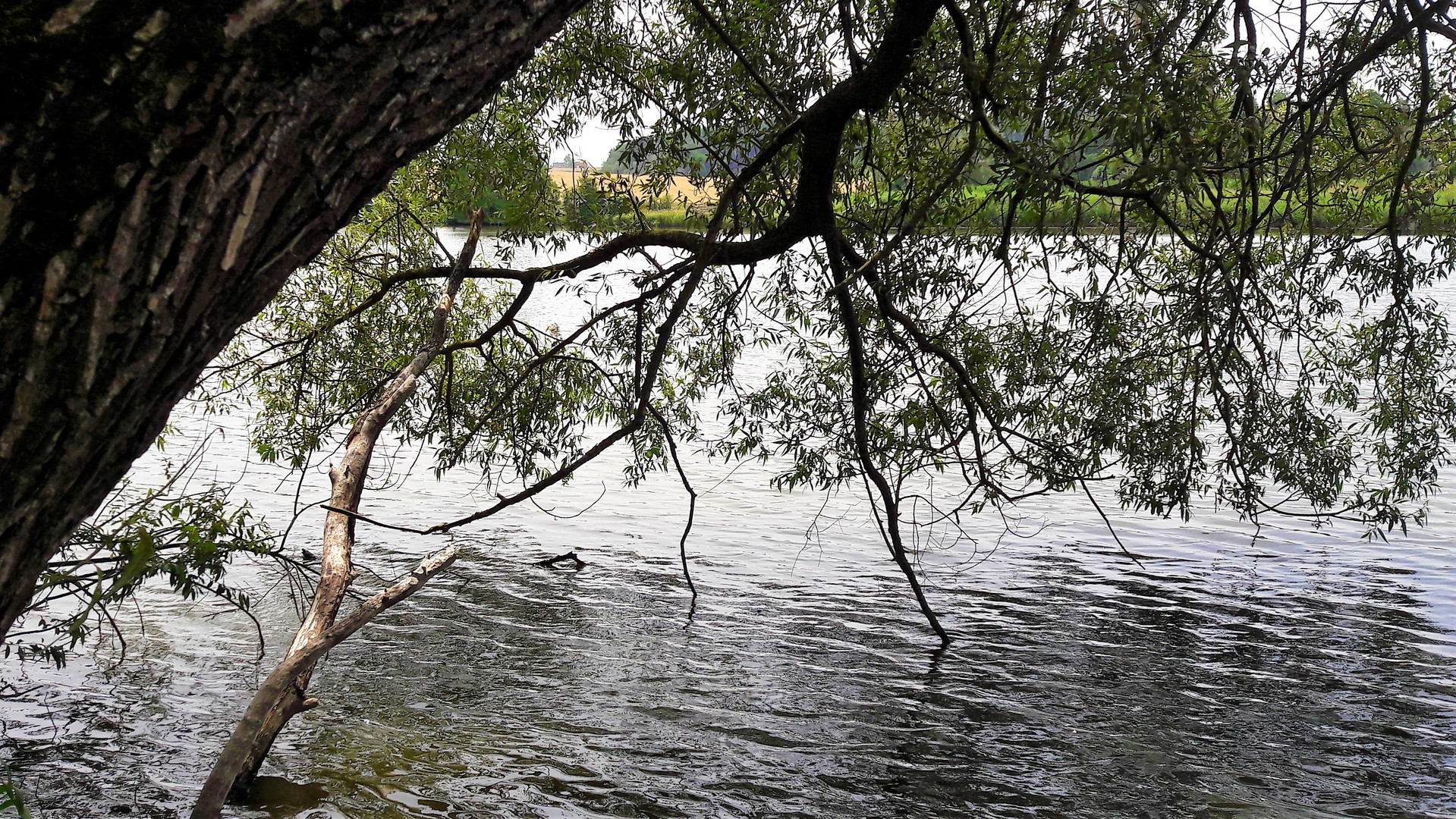 Spiegeltag :Walkweiher Dinkelsbühl