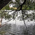 Spiegeltag :Walkweiher Dinkelsbühl