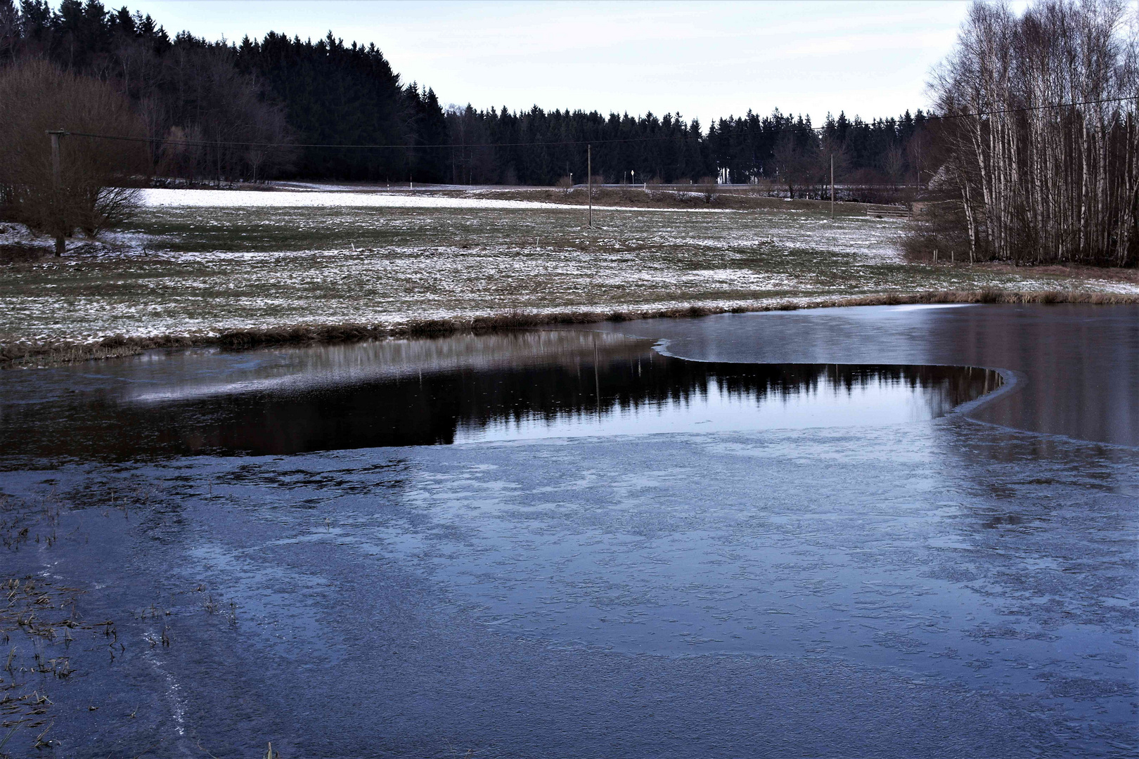 Spiegeltag : Wasserlochwaldrand