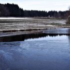 Spiegeltag : Wasserlochwaldrand