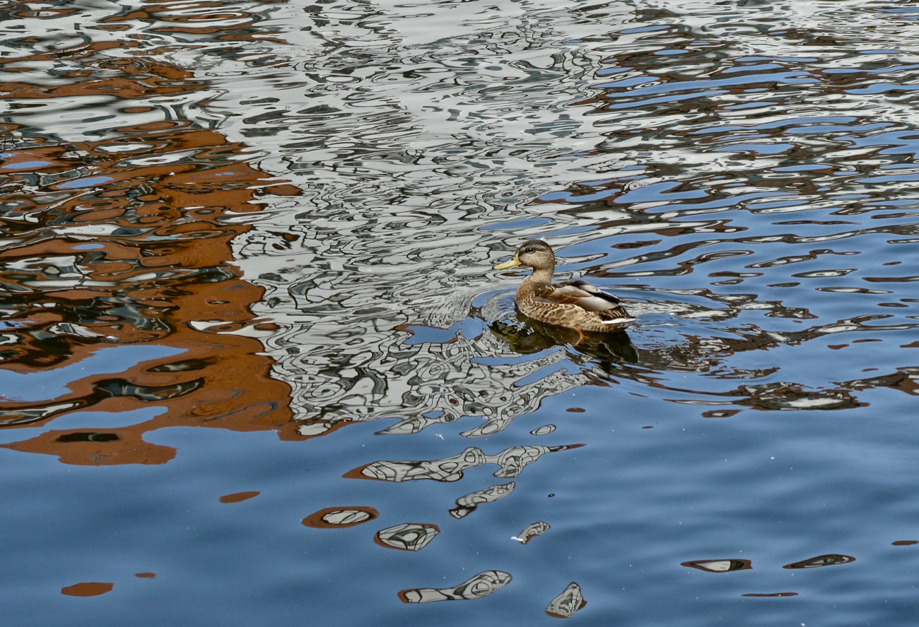 Spiegeltag-Wassermalerei