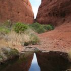 Spiegeltag: Wasserstelle am Ayers Rock in Australien