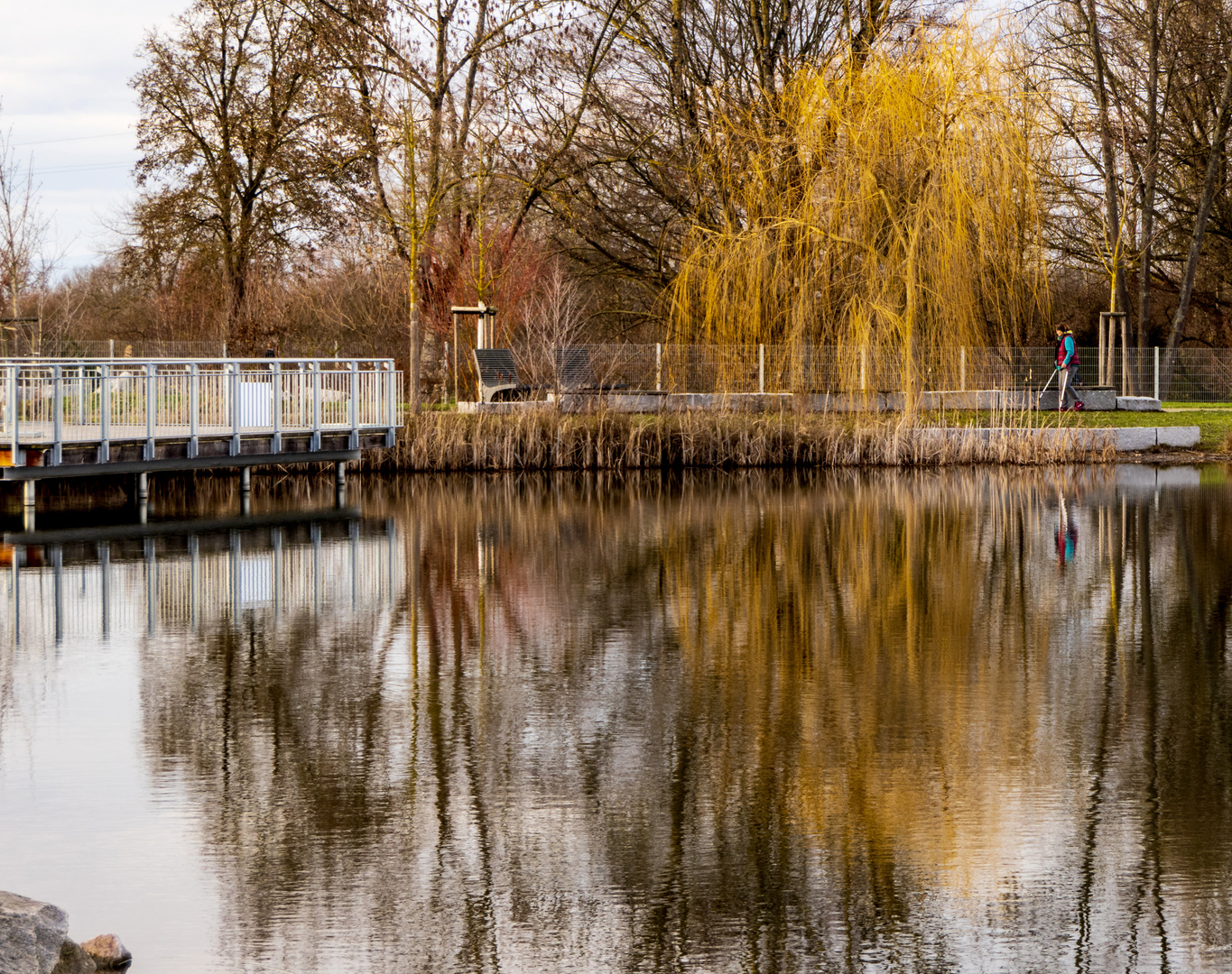 Spiegeltag - Weide im See