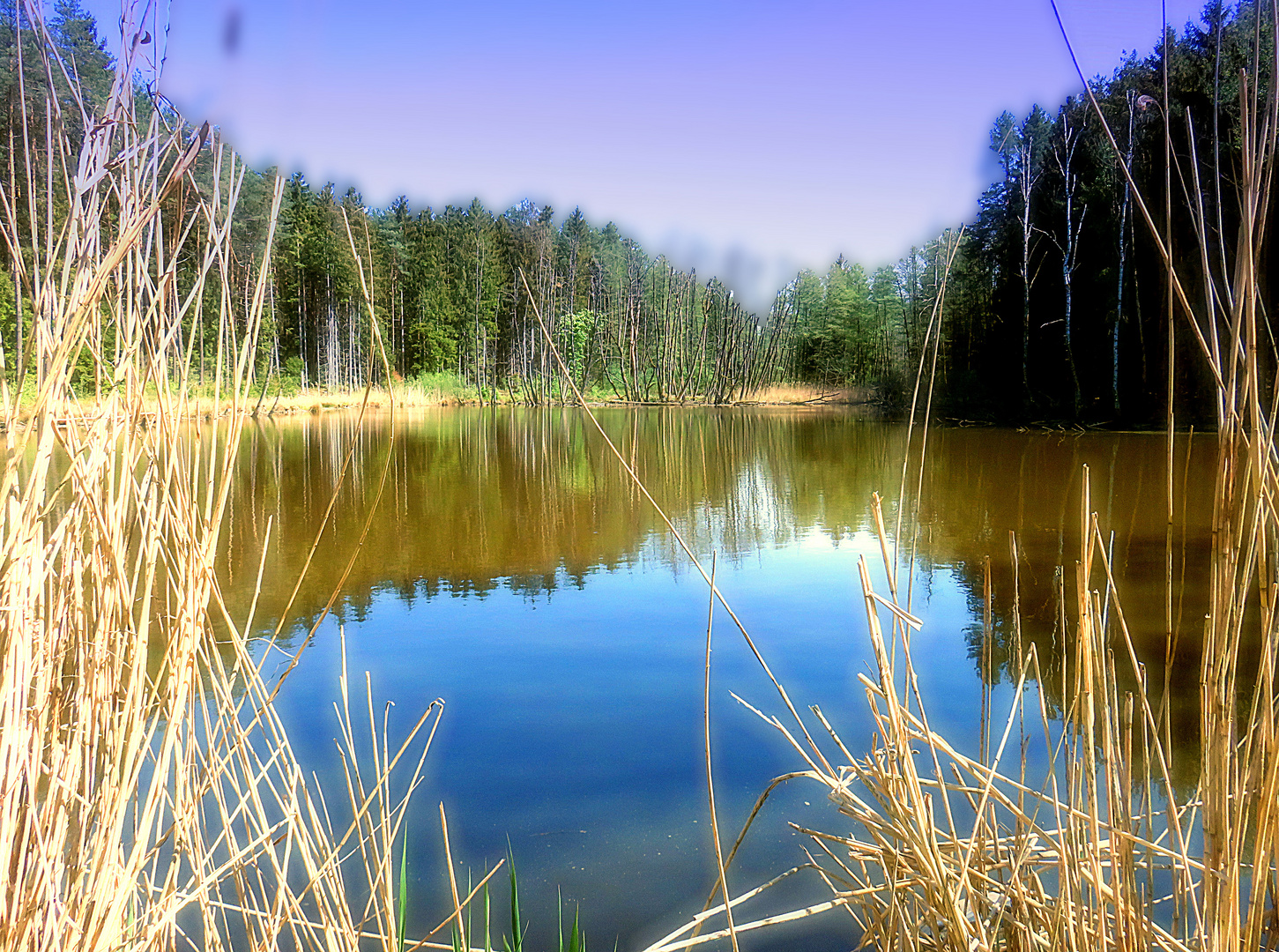 Spiegeltag- Weiher am Faberhof