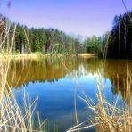 Spiegeltag- Weiher am Faberhof