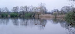 Spiegeltag: Weiher im Naturschutzgebiet...