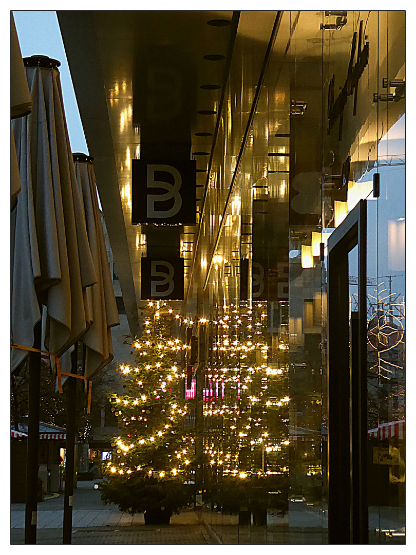 Spiegeltag- Weihnachtsbaum im Schaufenster